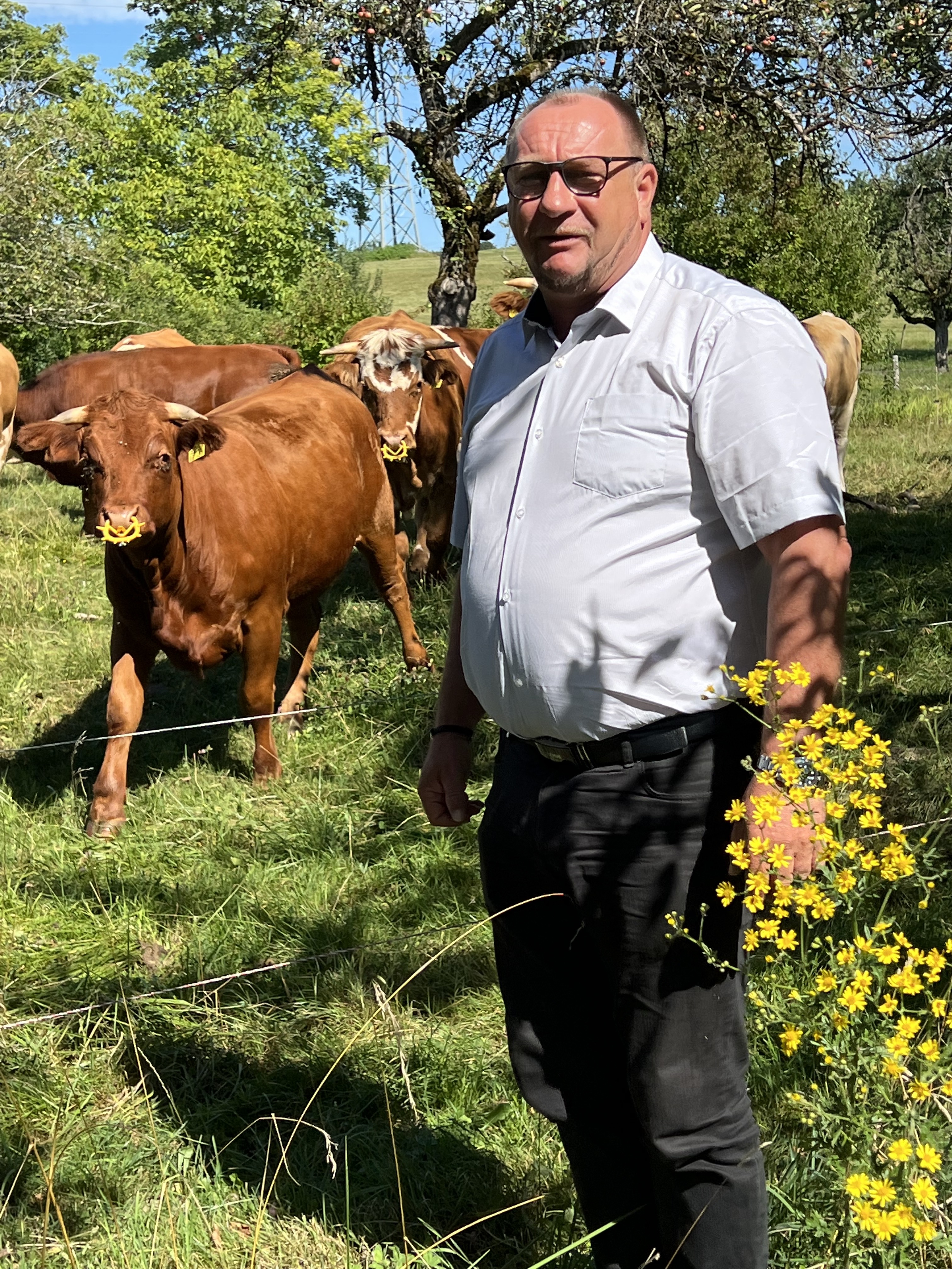 Klaus Hoher
