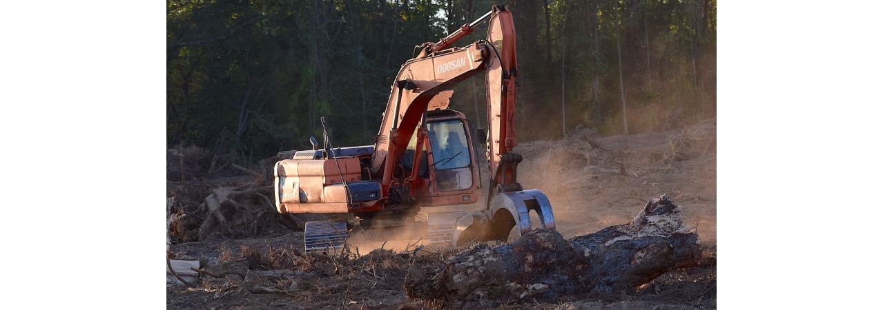 Überlingen holzt den Röschenwald ab