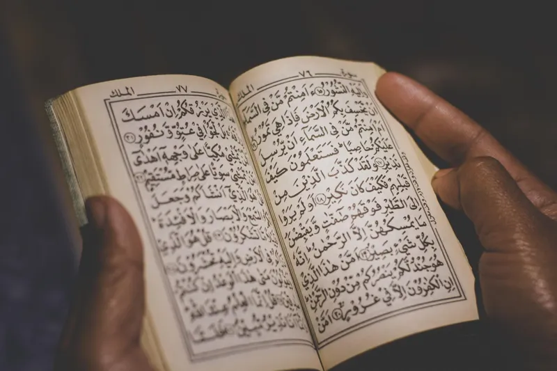 "Rechts" will die Unterwanderung durch den Islam in der EU stärker kontrollieren. "Linke Parteien" und CDU sind dagegen.