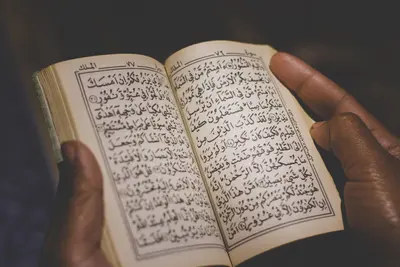 "Rechts" will die Unterwanderung durch den Islam in der EU stärker kontrollieren. "Linke Parteien" und CDU sind dagegen.